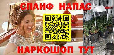 мяу мяу мука Берёзовский