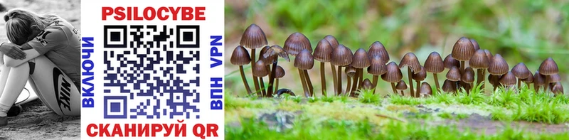 Галлюциногенные грибы Psilocybine cubensis  купить закладку  Дагестанские Огни 