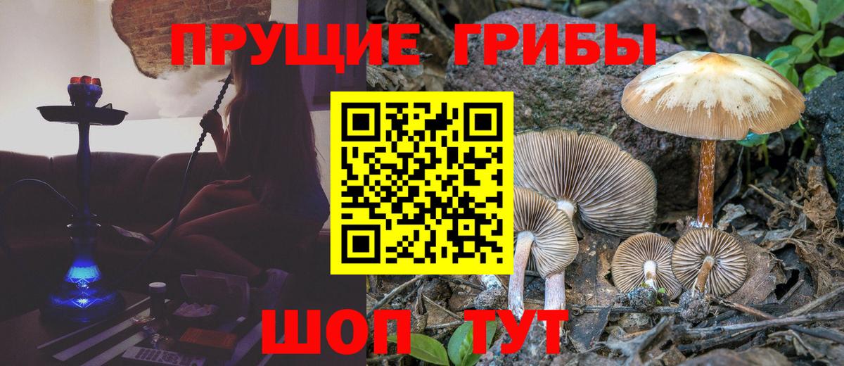 Галлюциногенные грибы MAGIC MUSHROOMS Дагестанские Огни