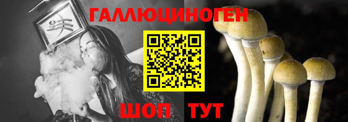 Дагестанские Огни  Псилоцибиновые грибы мухоморы  даркнет сайт  Вход с VPN 